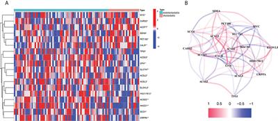 Comprehensive analysis of fatty acid and lactate metabolism–related genes for prognosis value, immune infiltration, and therapy in osteosarcoma patients